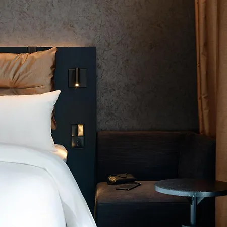 Ibis Styles פרידריכסהאפן