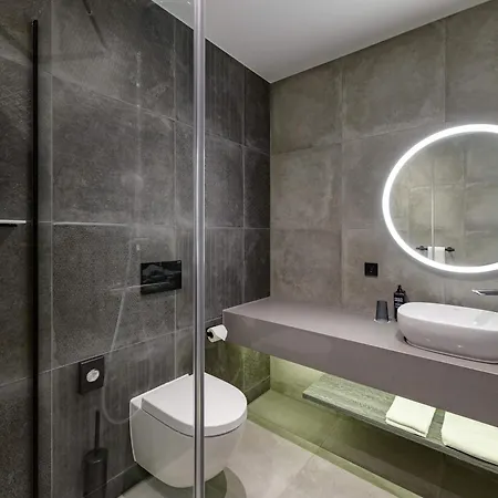 Ibis Styles 3* Φριντρισχάφεν