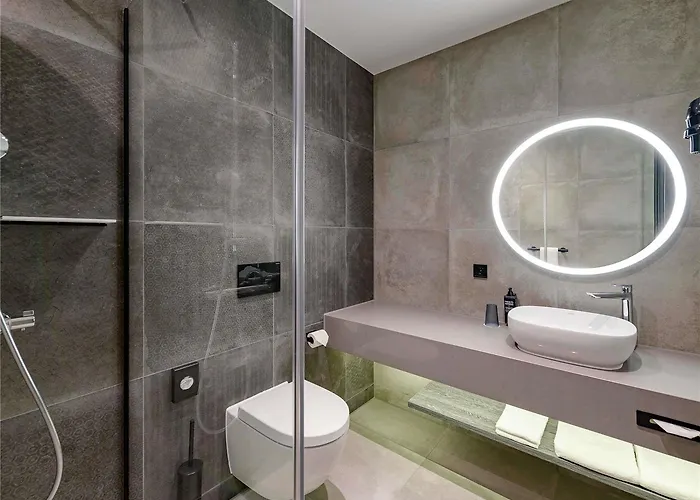 Ibis Styles Φριντρισχάφεν